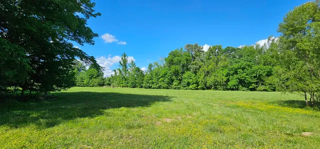 a view of a big yard with a large tree