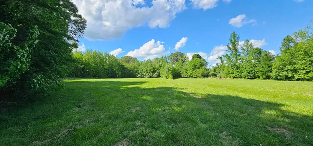 a view of a golf course with a tree