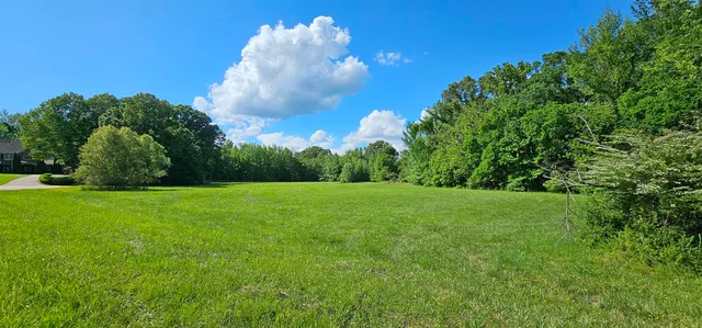 a view of a golf course with a lake