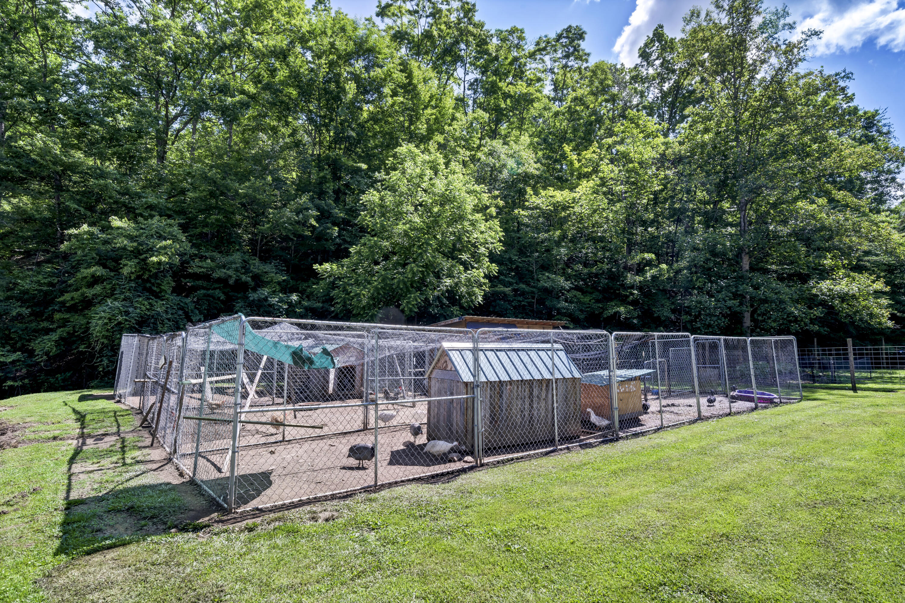 2173 Centerville Road West Liberty, KY 41472 - Photo 38 of 61 A7401279