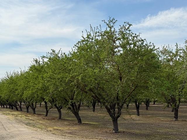 0 Leedom & Mt View Rd Corner Hughson, CA 95326 - Photo 1 of 1 Gallery Image 1