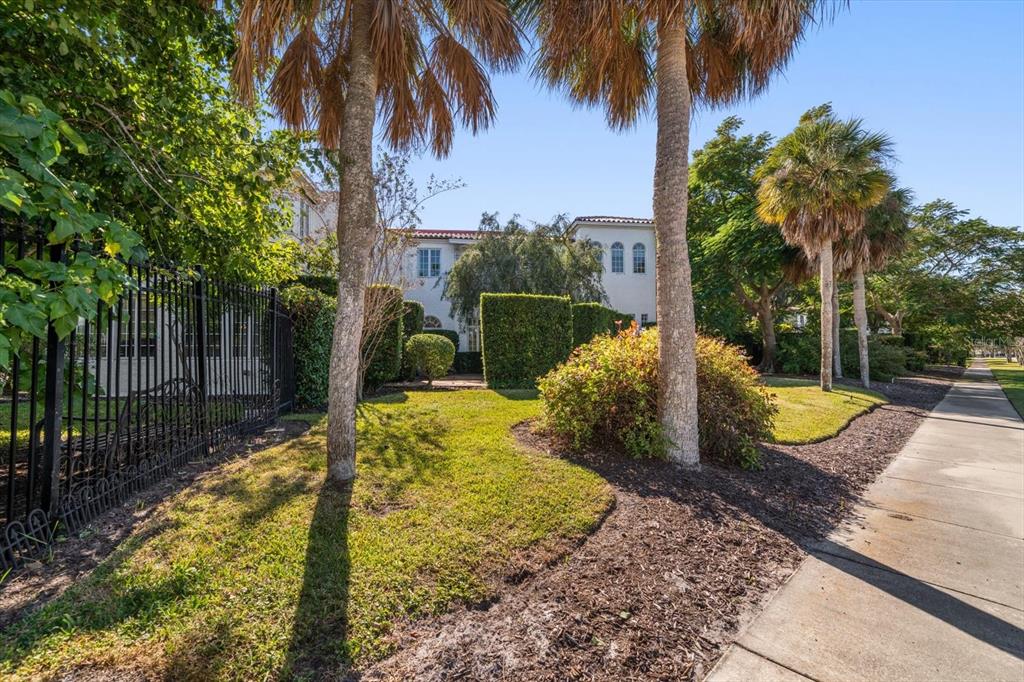 1102 Palmview Avenue Belleair, FL 33756 - Photo 74 of 81 a view of a backyard with plants