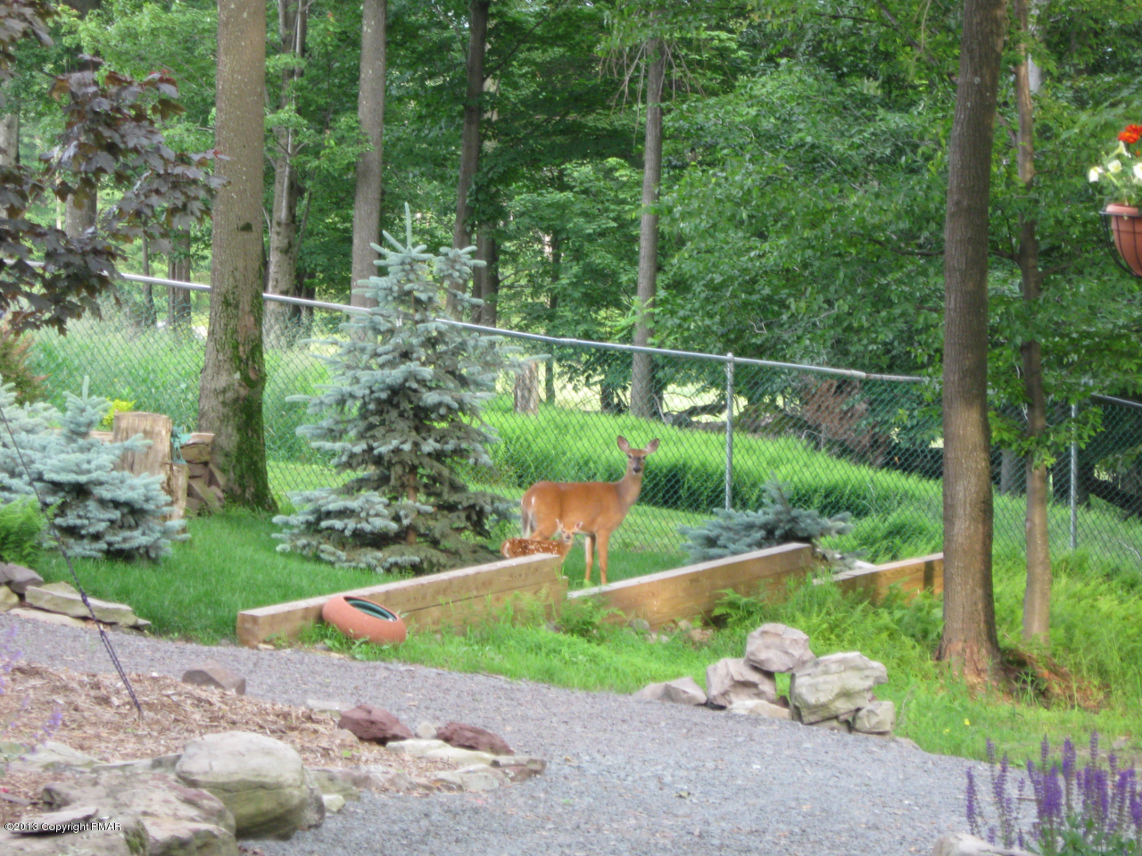 362 Fawn Road Pocono Lake, PA 18347 - Photo 36 of 49 Copy (2) of Fawn Drive 032