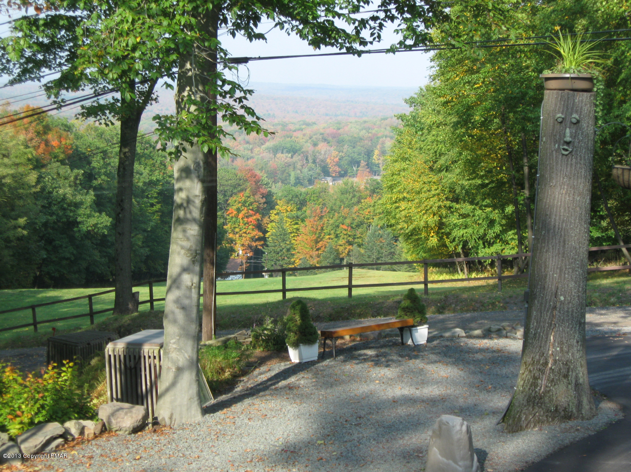 362 Fawn Road Pocono Lake, PA 18347 - Photo 9 of 49 Driveway View