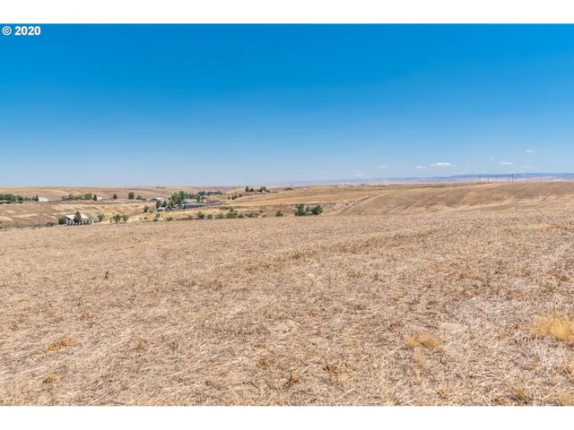 a view of beach and ocean