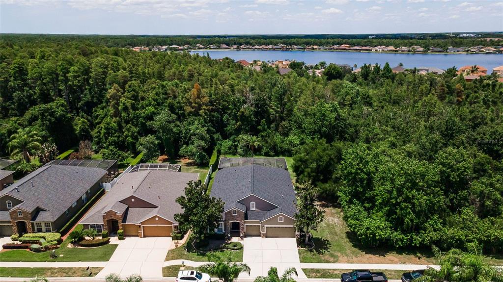 16207 Rambling Road Odessa, FL 33556 - Photo 57 of 76