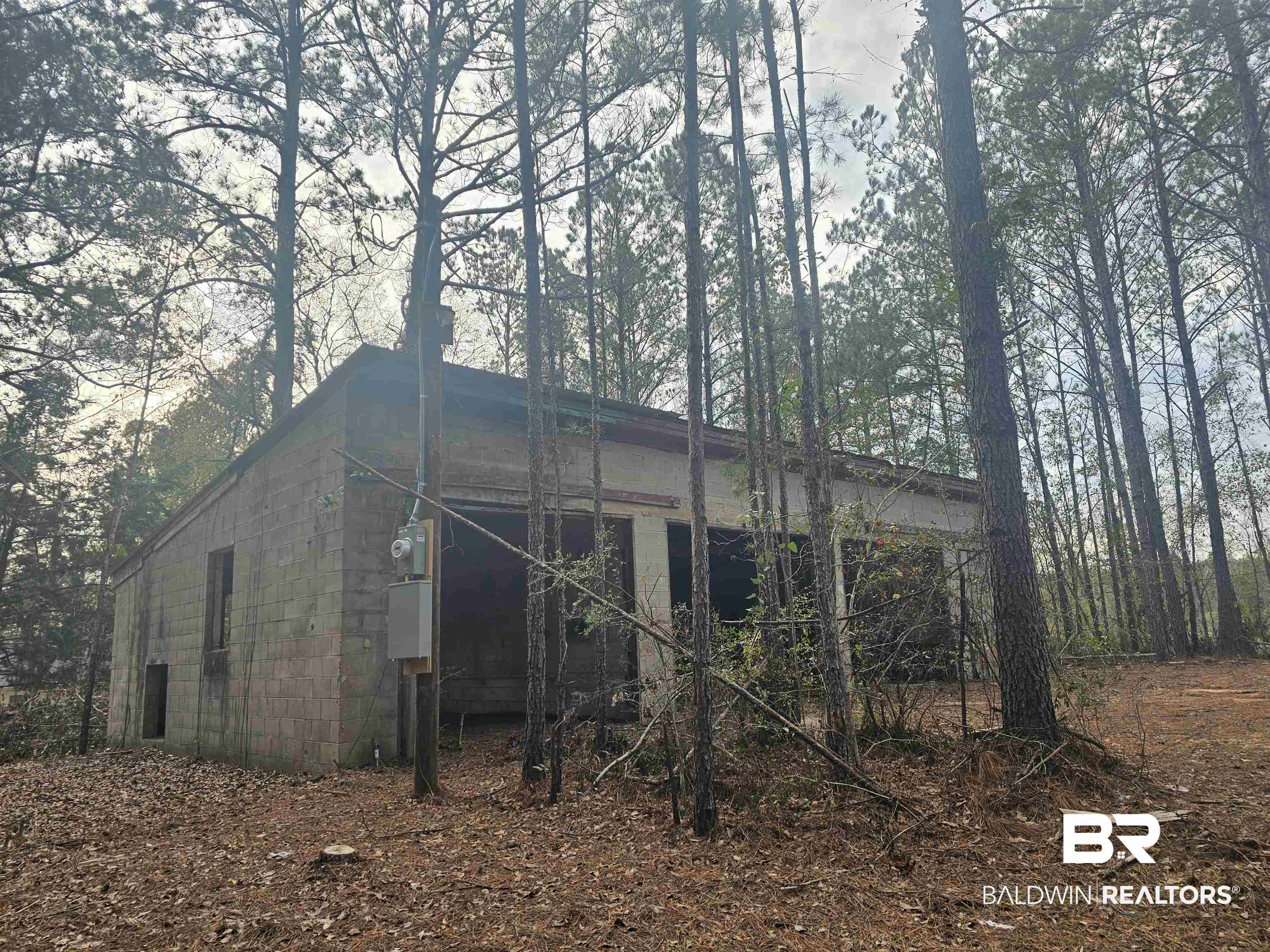 500 Owassa Road Evergreen, AL 36401 - Photo 4 of 5 View of outbuilding
