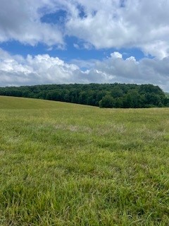1000 Lafayette Road Red Boiling Springs, TN 37150 - Photo 2 of 11
