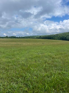 1000 Lafayette Road Red Boiling Springs, TN 37150 - Photo 4 of 11
