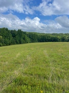 1000 Lafayette Road Red Boiling Springs, TN 37150 - Photo 5 of 11