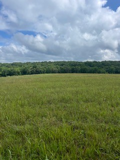 1000 Lafayette Road Red Boiling Springs, TN 37150 - Photo 6 of 11