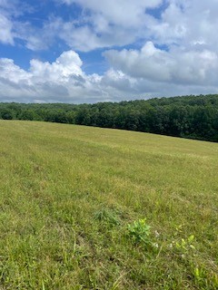 1000 Lafayette Road Red Boiling Springs, TN 37150 - Photo 8 of 11
