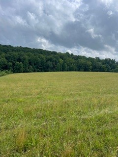 1000 Lafayette Road Red Boiling Springs, TN 37150 - Photo 9 of 11