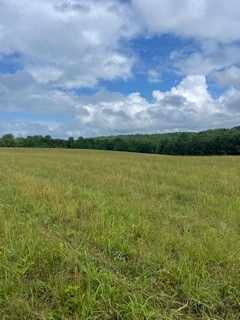 1000 Lafayette Road Red Boiling Springs, TN 37150 - Photo 10 of 11