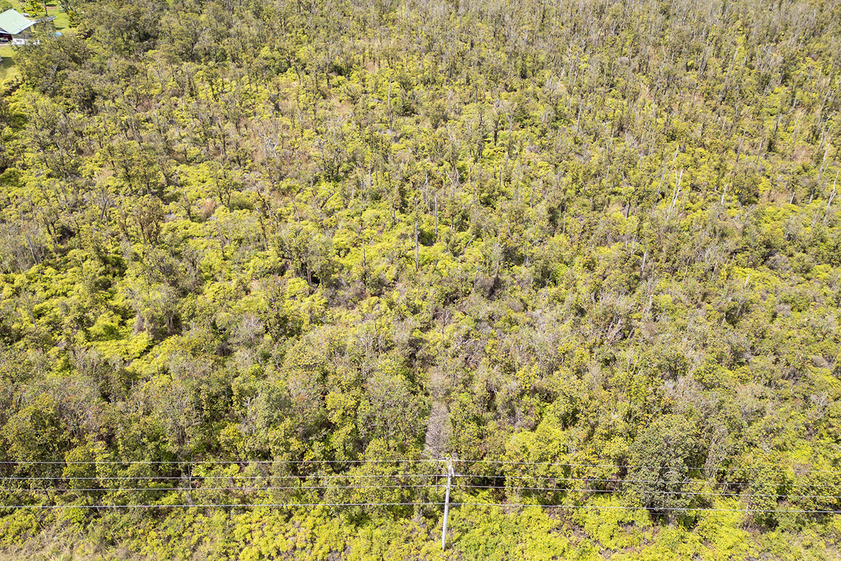 11-2080 Lot 69 Omeka Road Mountain View, HI 96771 - Photo 13 of 13