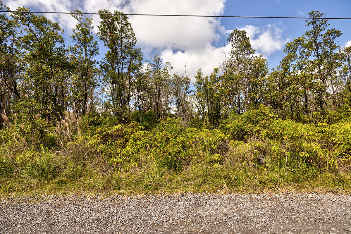 11-2080 Lot 69 Omeka Road Mountain View, HI 96771 - Photo 2 of 13