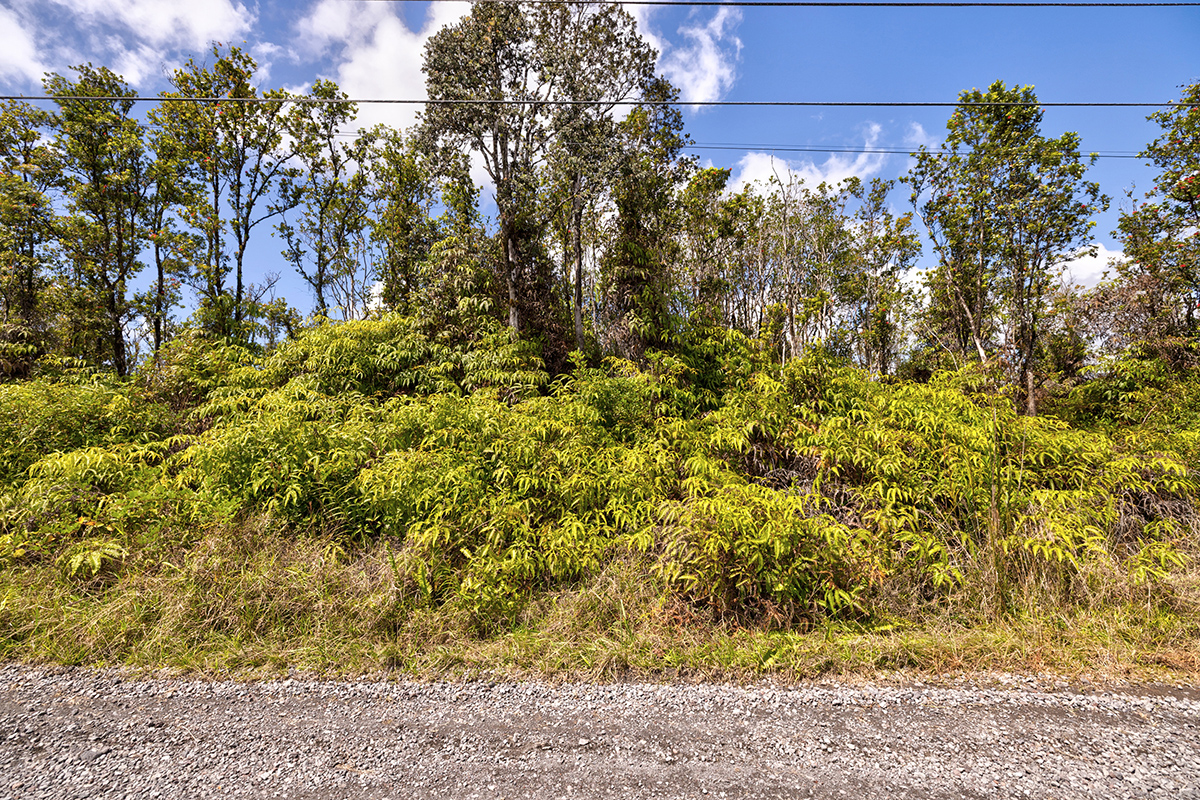 11-2080 Lot 69 Omeka Road Mountain View, HI 96771 - Photo 6 of 13 a view of a yard with a tree