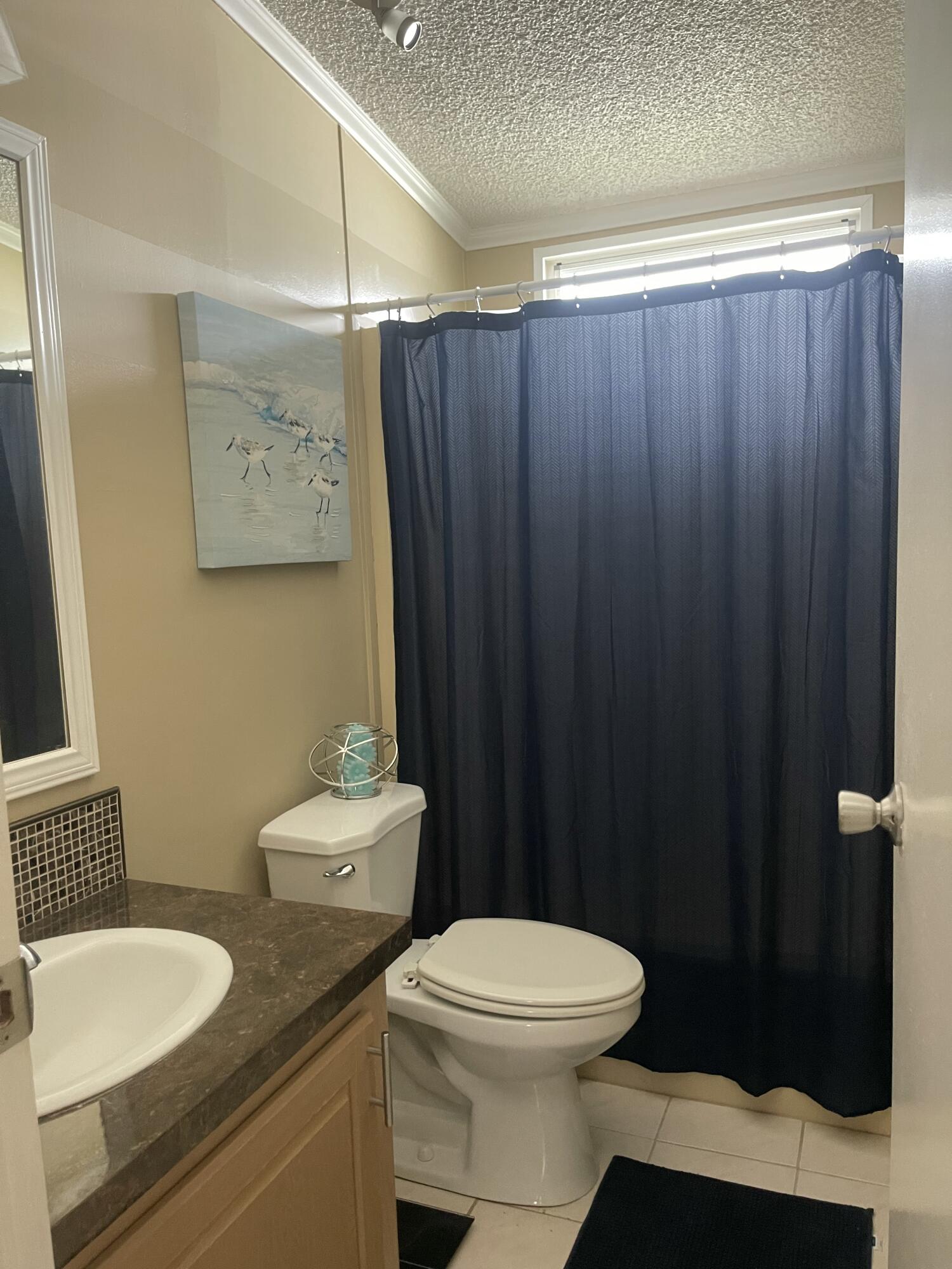 817 Sunglow Street Boynton Beach, FL 33436 - Photo 15 of 15 a white toilet sitting next to a bathroom sink