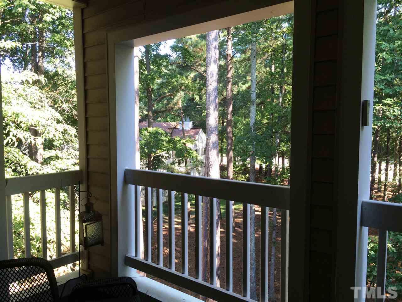 6000 Winterpointe Lane, Unit 303 Raleigh, NC 27606 - Photo 11 of 15 a view of a porch