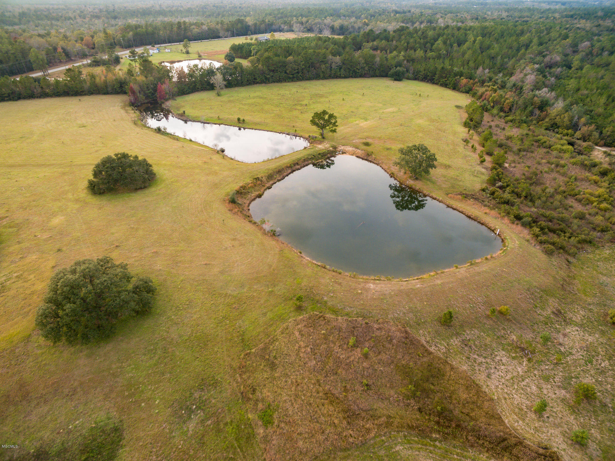 Lot 1 Wolf River Road Gulfport, MS 39503 - Photo 4 of 10 Lot 1b