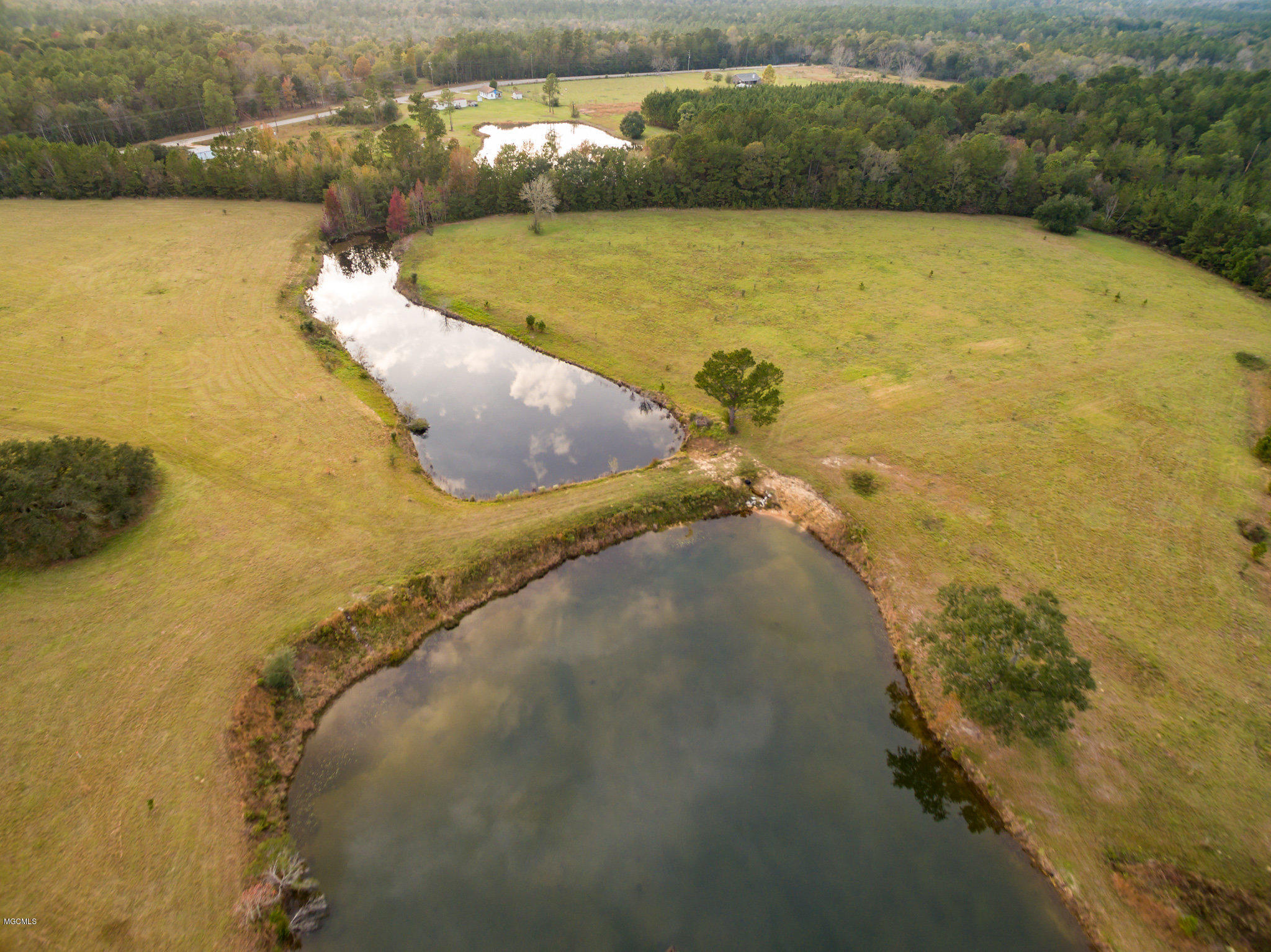 Lot 1 Wolf River Road Gulfport, MS 39503 - Photo 6 of 10 Lot 1d