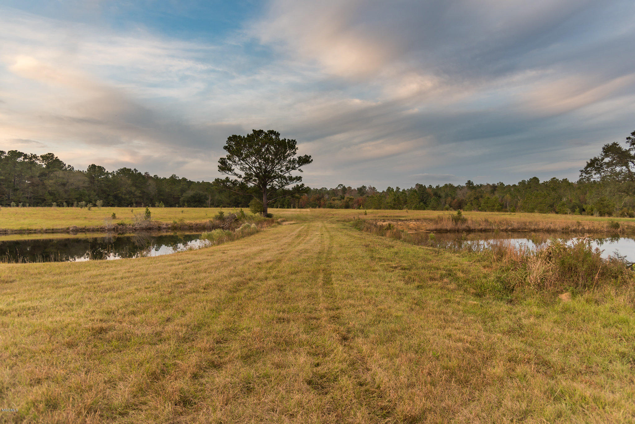Lot 1 Wolf River Road Gulfport, MS 39503 - Photo 8 of 10 Lot1h