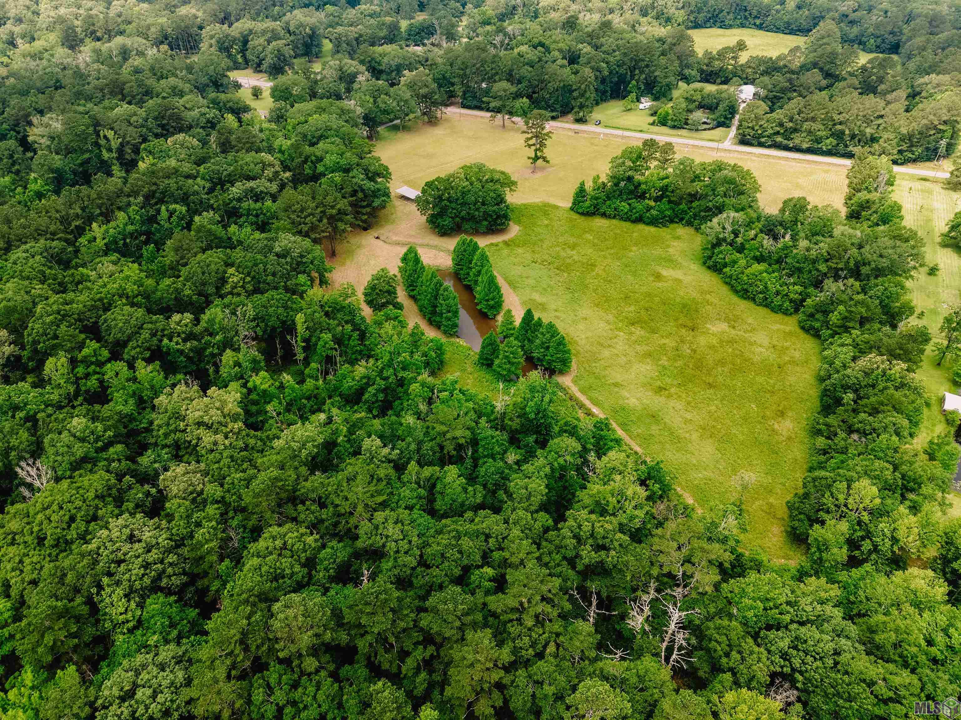 C2 Chaney Road Zachary, LA 70791 - Photo 5 of 11