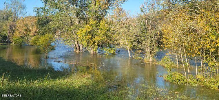 Lot 8 Holston Shores Drive Rutledge, TN 37861 - Photo 3 of 4 Main3