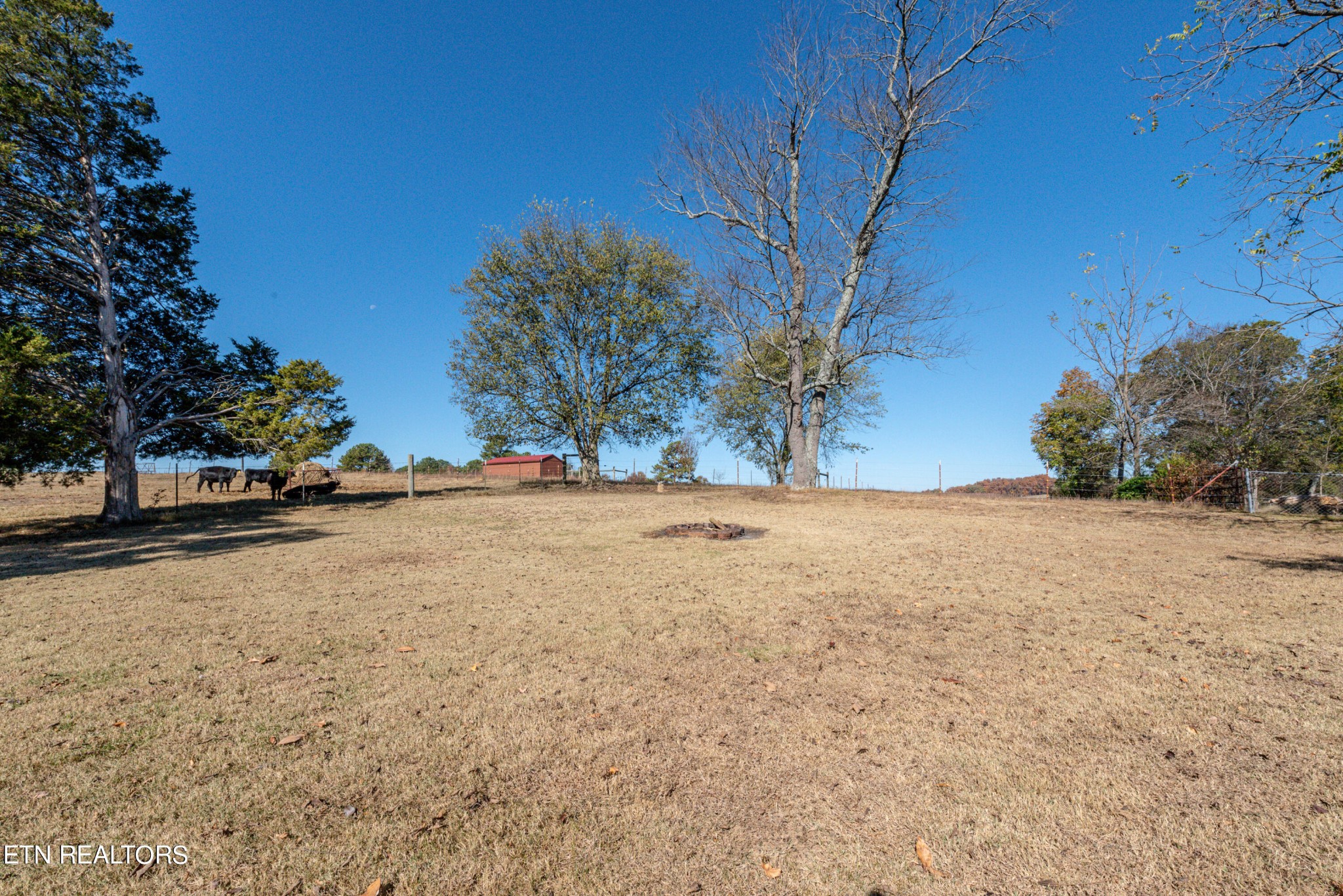 5890 Loudon Ridge Road Lenoir City, TN 37771 - Photo 36 of 42 Gallery Image 36
