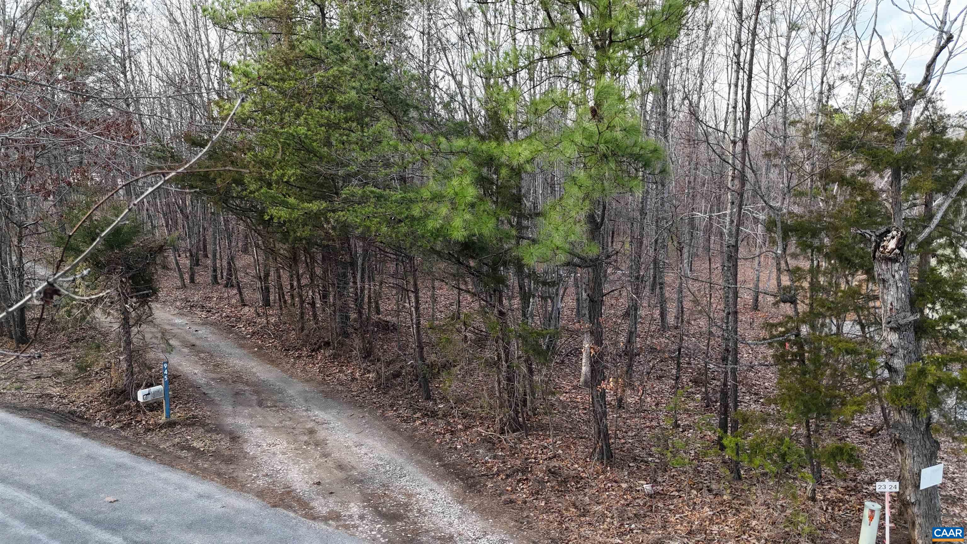949 Austin Road Gladstone, VA 24553 - Photo 14 of 20 a backyard of a house with lots of trees