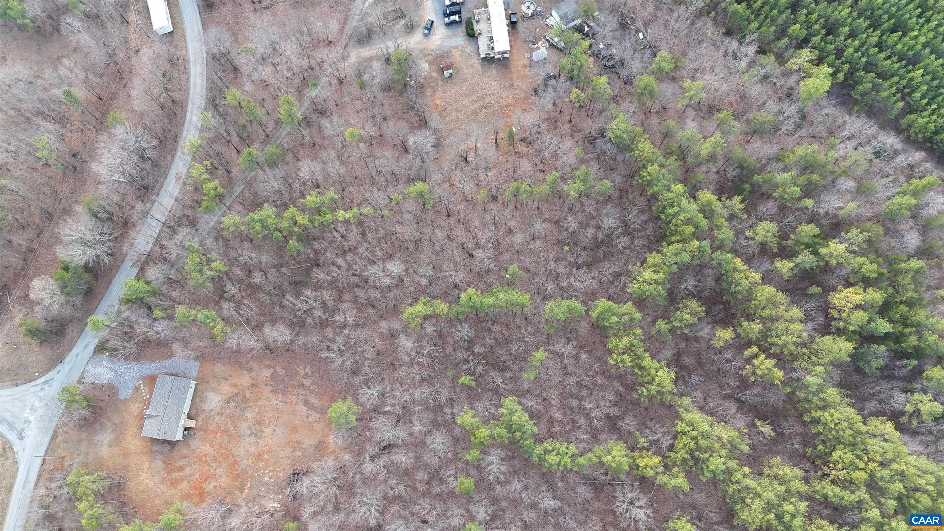 949 Austin Road Gladstone, VA 24553 - Photo 15 of 20 a view of a dry yard with trees