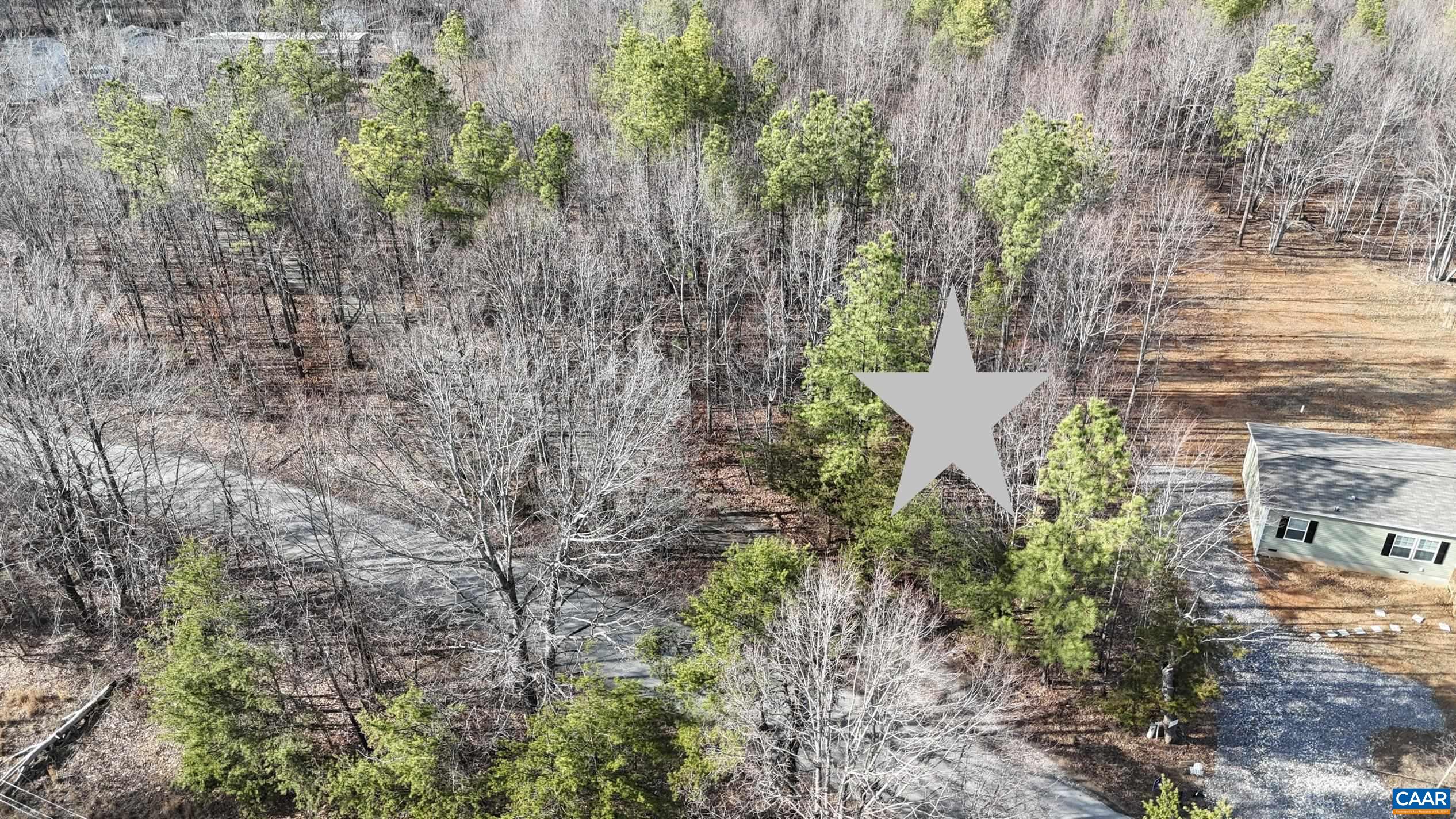 949 Austin Road Gladstone, VA 24553 - Photo 6 of 20 a plant with lots of plants and trees