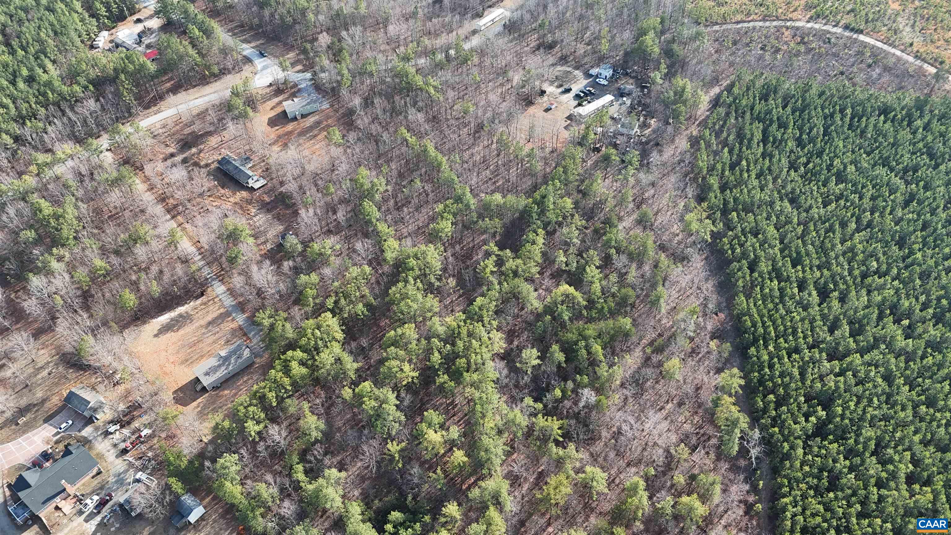 949 Austin Road Gladstone, VA 24553 - Photo 8 of 20 a close up of a plant