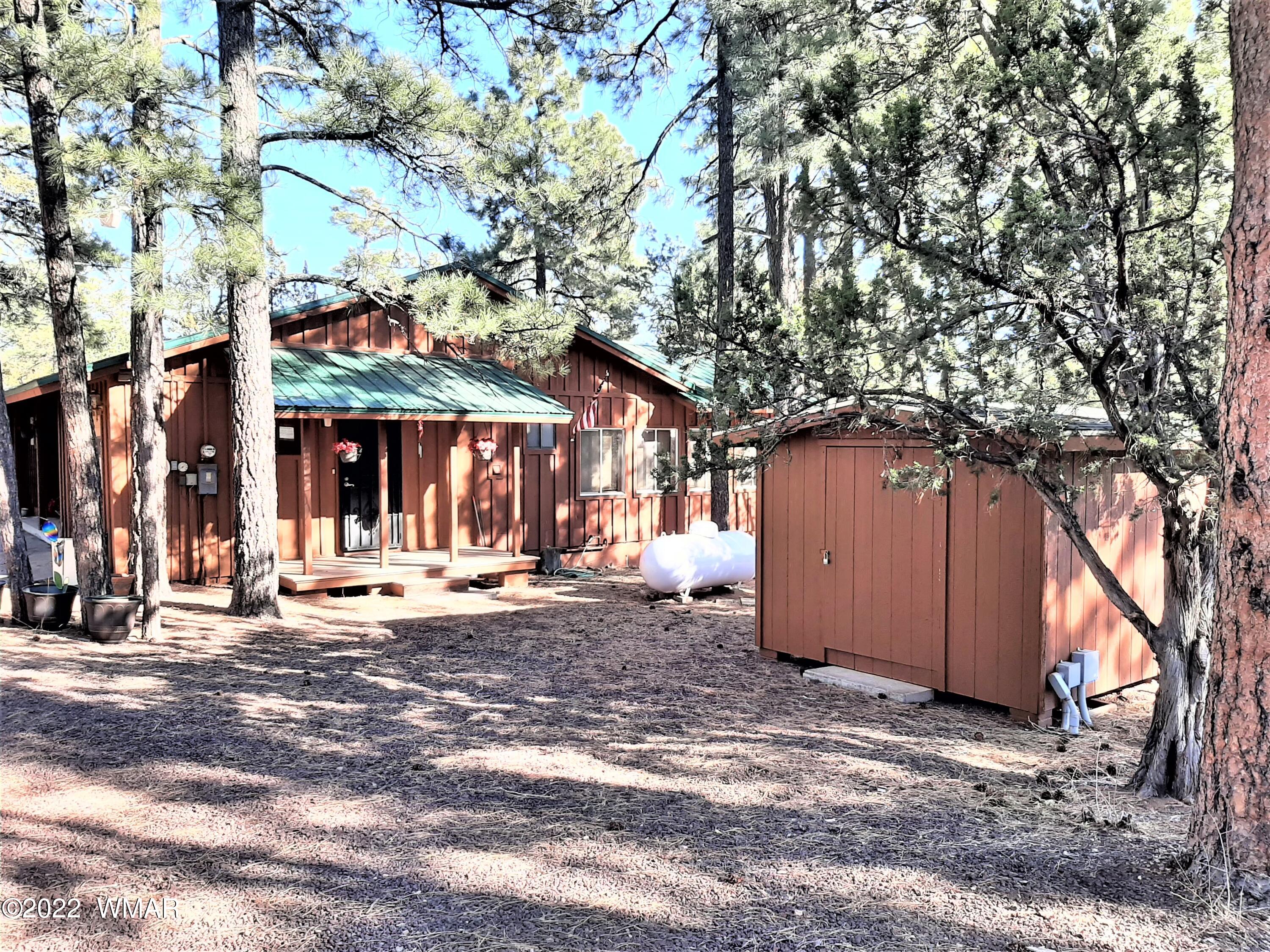 2089 Indian Trail Overgaard, AZ 85933 - Photo 27 of 28