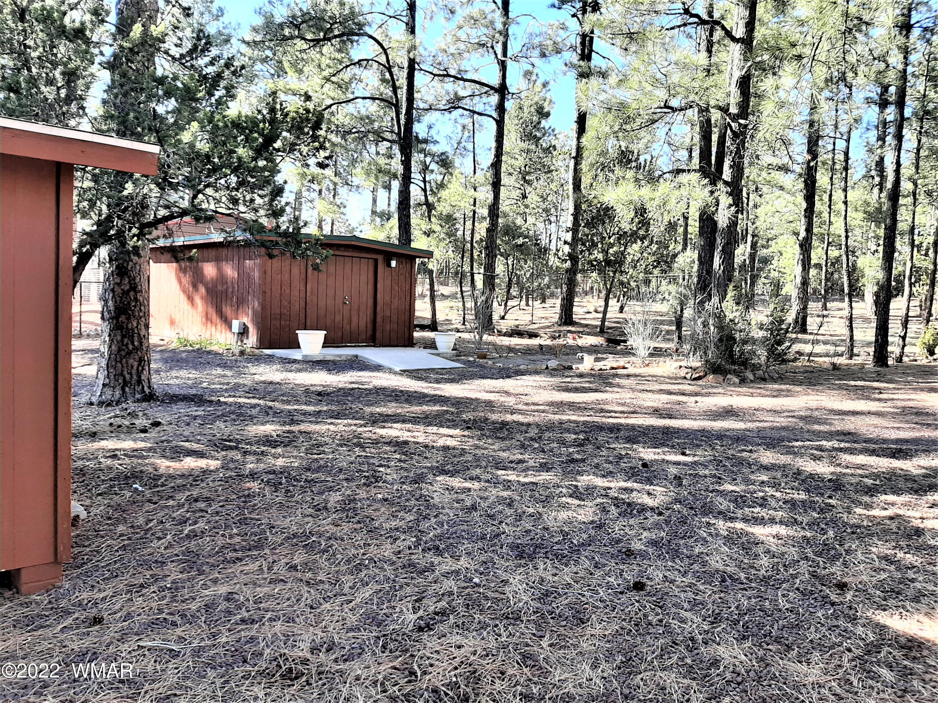 2089 Indian Trail Overgaard, AZ 85933 - Photo 4 of 28