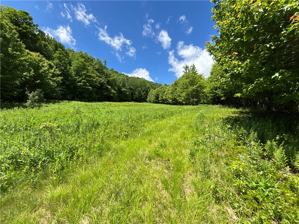 2613 Murphy Hill Road Andes, NY 13731 - Photo 27 of 35