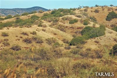 Lot D Lot D Stevens Ranch Road Patagonia, AZ 85624 - Photo 5 of 26