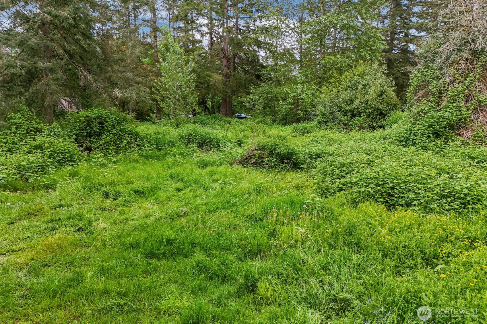 20707 Renton-Maple Valley Road Maple Valley, WA 98038 - Photo 2 of 18