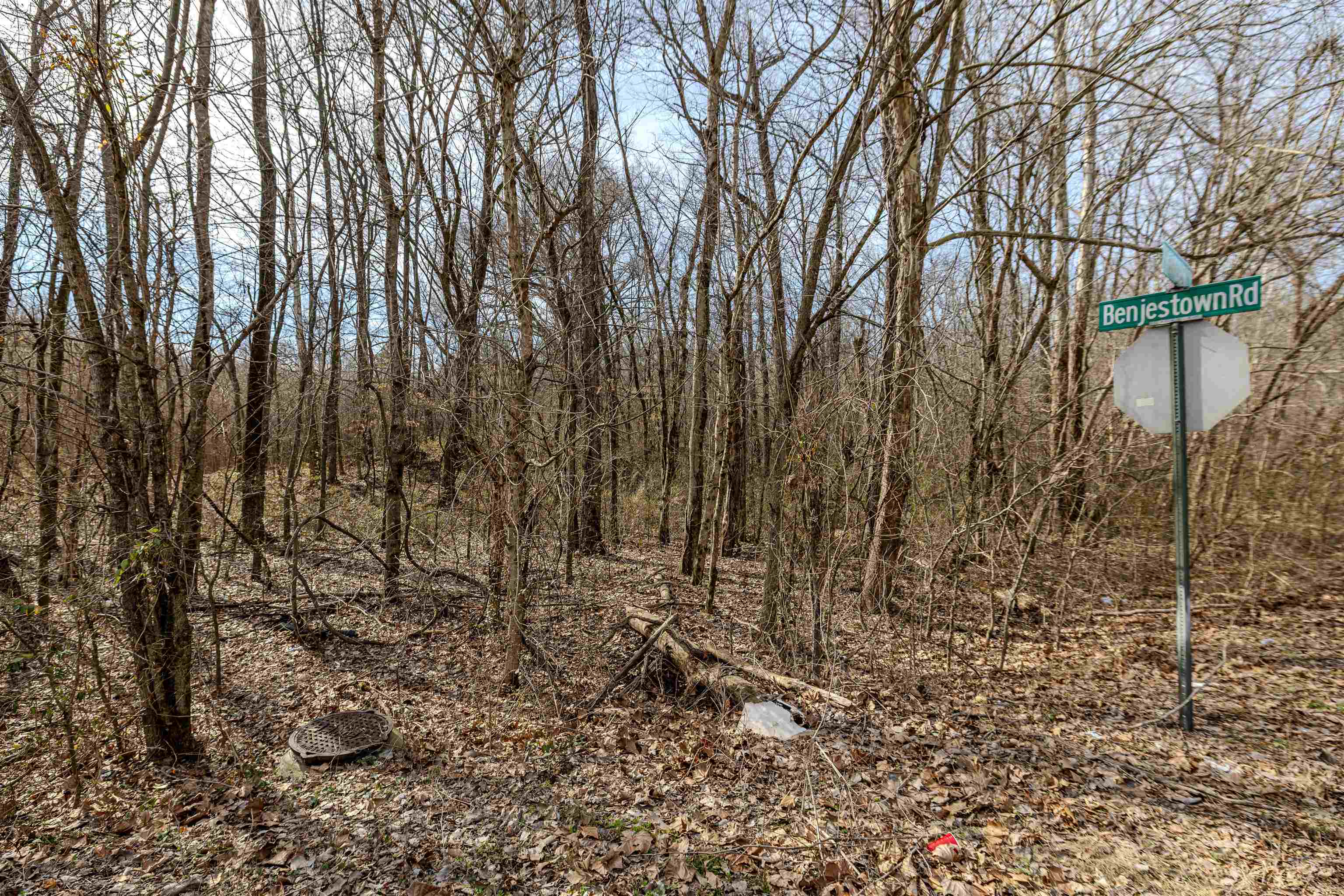 5155 Benjestown Road Memphis, TN 38127 - Photo 8 of 36 a view of a yard with trees