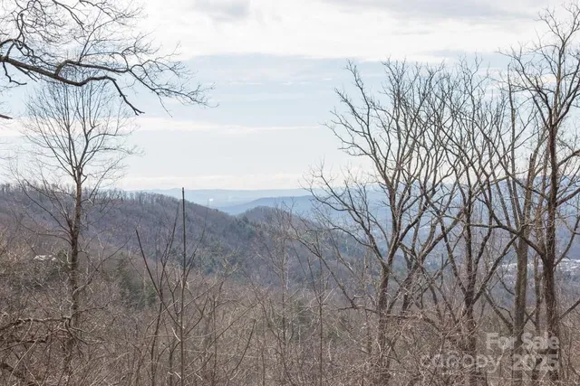 a view of a dry yard with wooden floor and fence