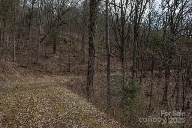 a view of a pathway of a yard