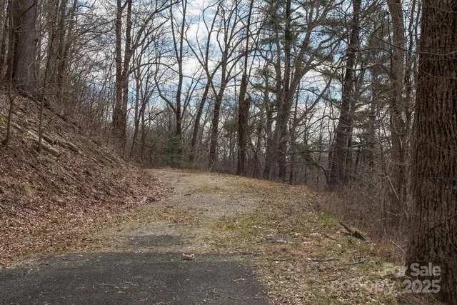 a view of a yard with trees