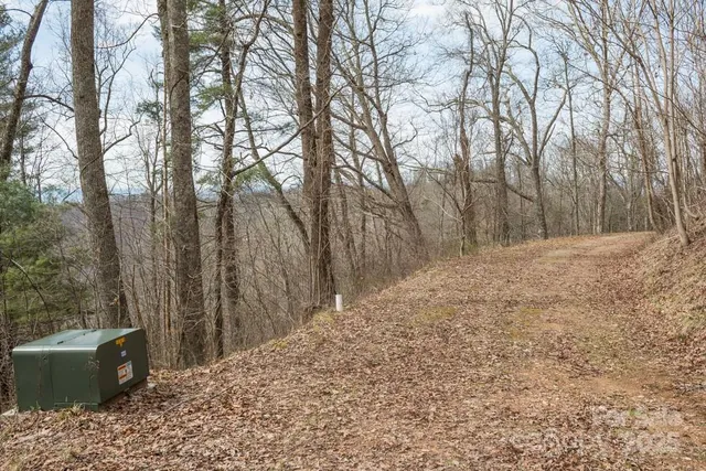 a view of a backyard of the house