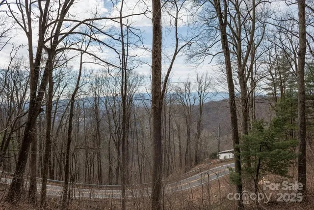 a backyard of a house with lots of green space and chair