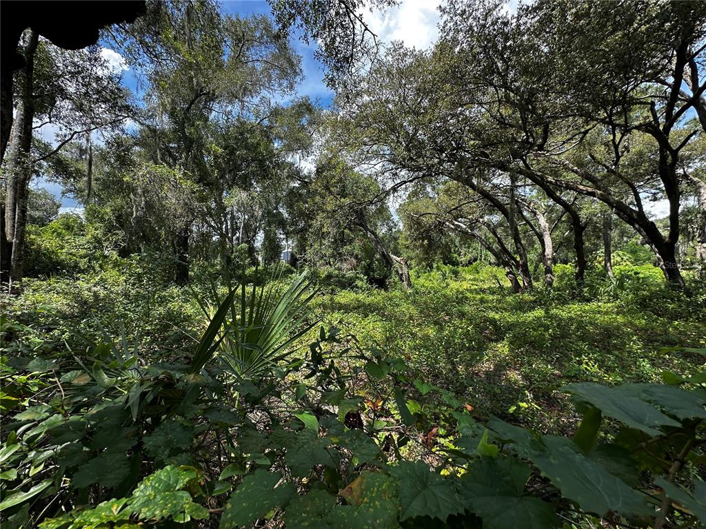 418 North Pine Street Bronson, FL 32621 - Photo 22 of 61 Gallery Image 22