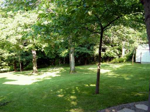 60 Fallen Timber Road Avella, PA 15312 - Photo 2 of 8 Yard/Garden.