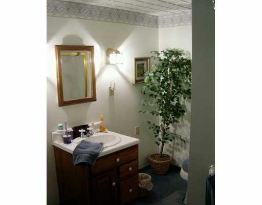60 Fallen Timber Road Avella, PA 15312 - Photo 8 of 8 Master Bath/Spa.