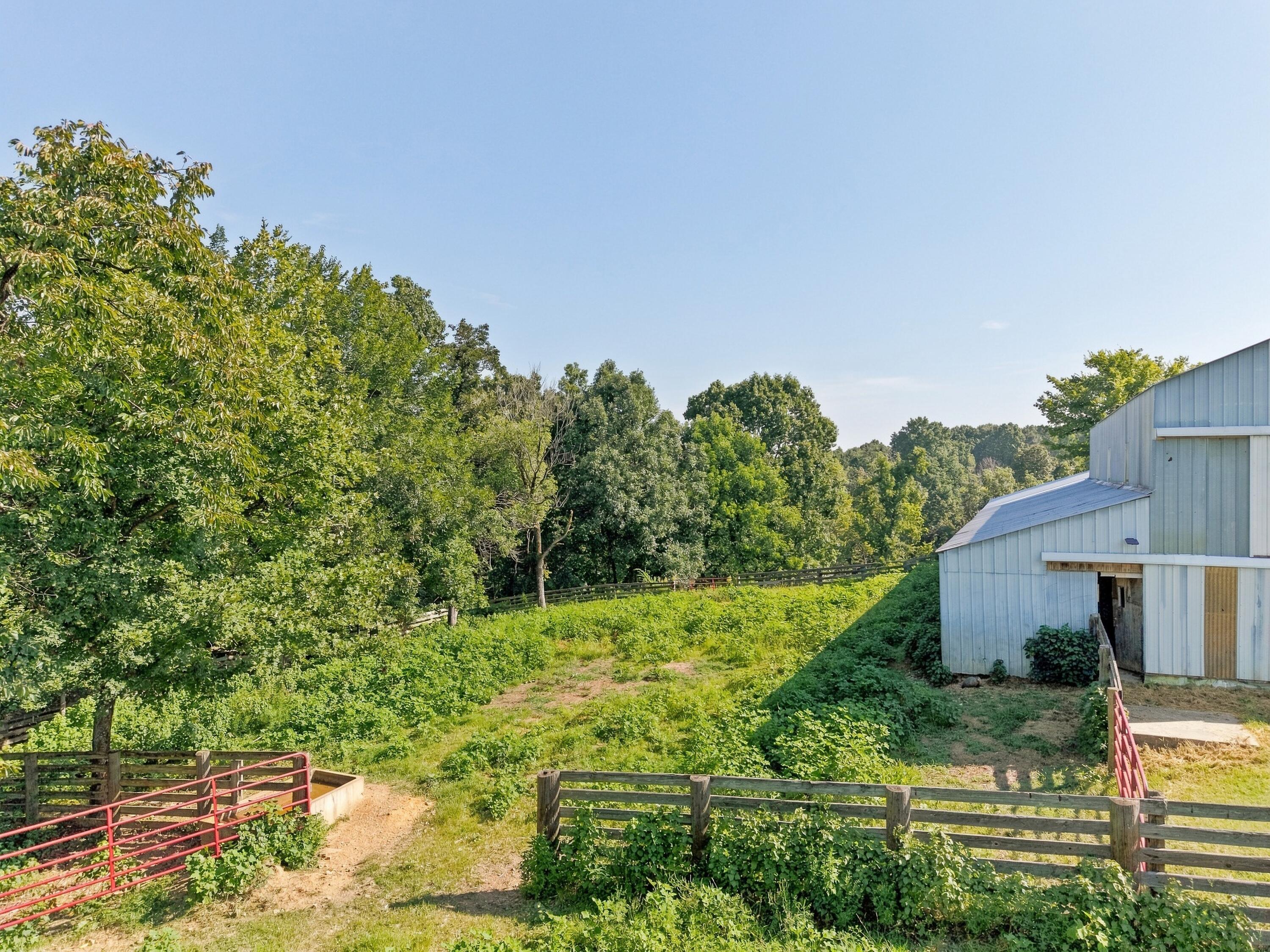 1340 Roe Wafford Road Marion, KY 42064 - Photo 80 of 81 1340RoeWafford_057