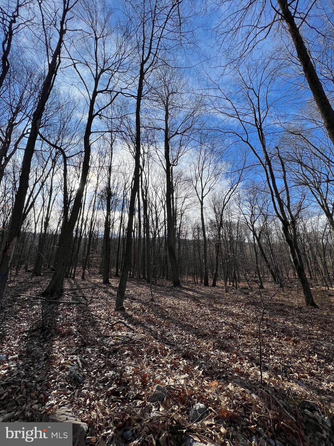 0 Kittatinny Trail Spring Run, PA 17262 - Photo 2 of 2