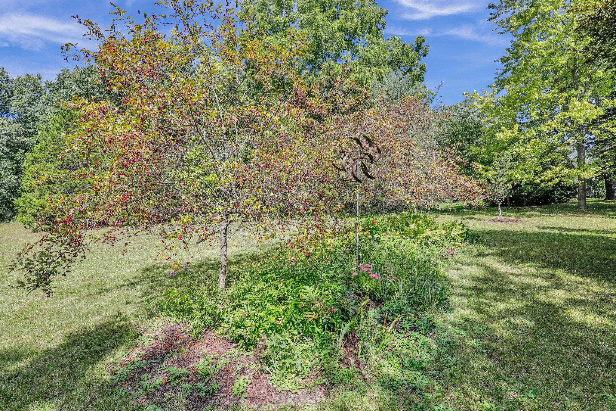 15510 Webster Road Bath, MI 48808 - Photo 40 of 51 28-web-or-mls-Open Ended Media-28